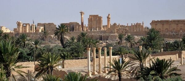 Palmira antik kentinin geçmişi neolitik çağa kadar uzanıyor. - Sputnik Türkiye