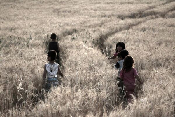 Başak tarlaları Suriyeli çocukların oyun alanı. - Sputnik Türkiye