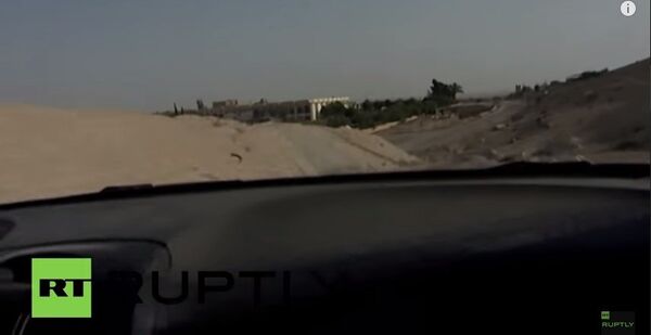 Palmira - Sputnik Türkiye