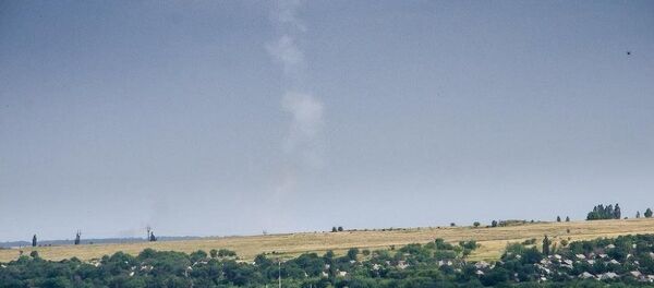 Malezya Havayolları’na ait MH17 sefer sayılı yolcu uçağı - Sputnik Türkiye