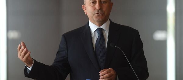 Dışişleri Bakanı Mevlüt Çavuşoğlu - Sputnik Türkiye