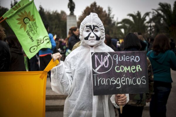 Şili'de GDO'nun doğaya ve insan sağlığına verdiği zararlara dikkat çekmek ve yasaklanmasını sağlamak amacıyla yapılan “Monsanto’ya Karşı Yürüyüş” - Sputnik Türkiye