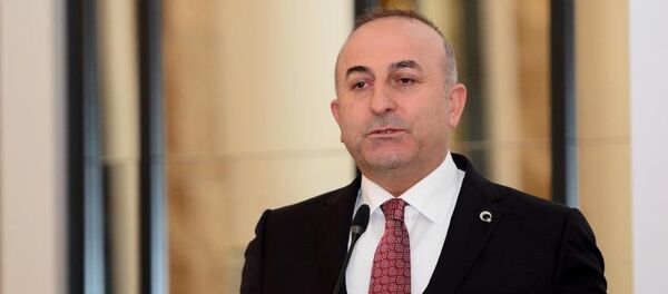 Mevlüt Çavuşoğlu - Sputnik Türkiye