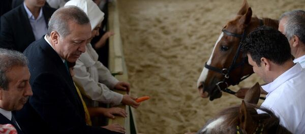 Recep Tayyip Erdoğan - Sputnik Türkiye