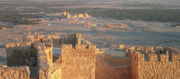 Palmira - Sputnik Türkiye