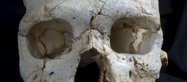 Kafatası - Sputnik Türkiye