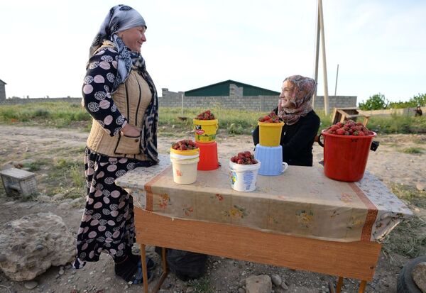 Kadınlar, Dağıstan'daki Mahaçkale-Grozny Otoyolu'nun kenarında çilek satıyor - Sputnik Türkiye