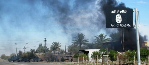 IŞİD - Sputnik Türkiye