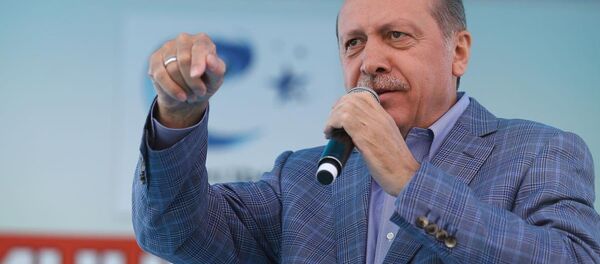 Türkiye Cumhurbaşkanı Recep Tayyip Erdoğan Türkiye Cumhurbaşkanı Recep Tayyip Erdoğan - Sputnik Türkiye