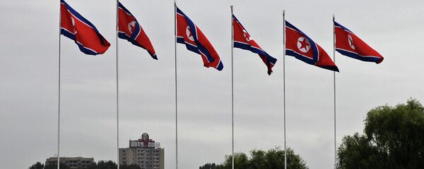 Kuzey Kore bayrağı - Sputnik Türkiye
