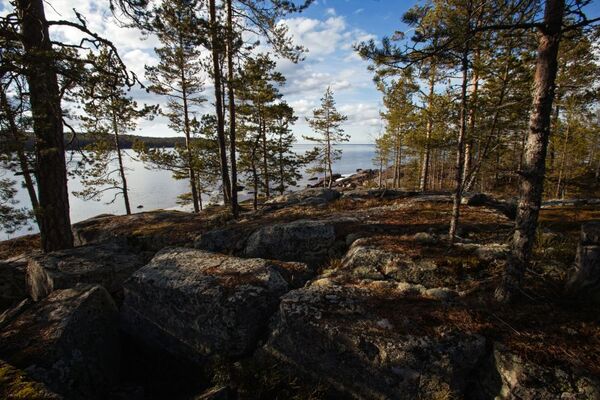 Karelya Cumhuriyeti'ndeki Onega Gölü manzarası - Sputnik Türkiye
