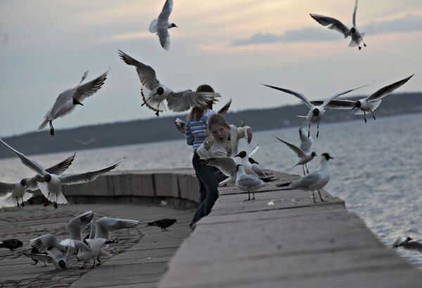 Petrozavodsk şehrinde Onega Gölü sahilinde çocuklar ve martılar - Sputnik Türkiye