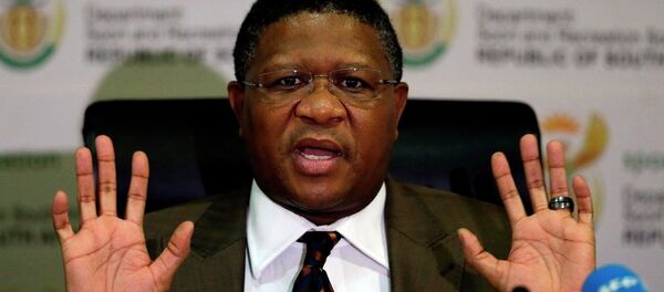 Fikile Mbalula - Sputnik Türkiye