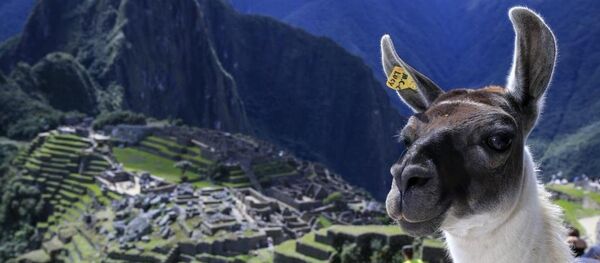 İnkaların zamana meydan okuyan eserlerini görmek ve Amazon ormanlarındaki vahşi yaşamf tanıklık etmek için dünyanın dört yanından milyonlarca turist her yıl Peru'yu ziyaret ediyor. - Sputnik Türkiye