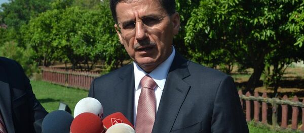 Hatay Valisi Ercan Topaca - Sputnik Türkiye