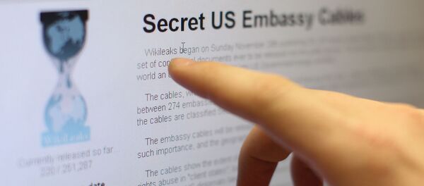 WikiLeaks - Sputnik Türkiye