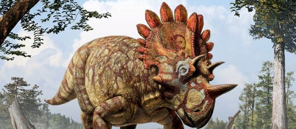 Çok boynuzlu görüntüsü nedeniyle fosile Hellboy adı verildi. Çok boynuzlu görüntüsü nedeniyle fosile Hellboy adı verildi. - Sputnik Türkiye