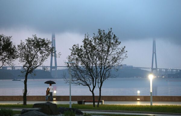 Rus Köprüsü, Vladivostok. - Sputnik Türkiye