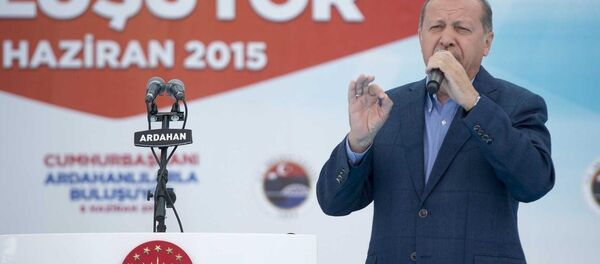 Cumhurbaşkanı Recep Tayyip Erdoğan - Sputnik Türkiye