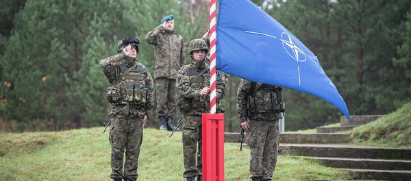 NATO bayrağı - Polonya - Sputnik Türkiye