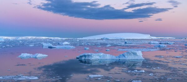 Antarktika'daki Weddell Denizi - Sputnik Türkiye