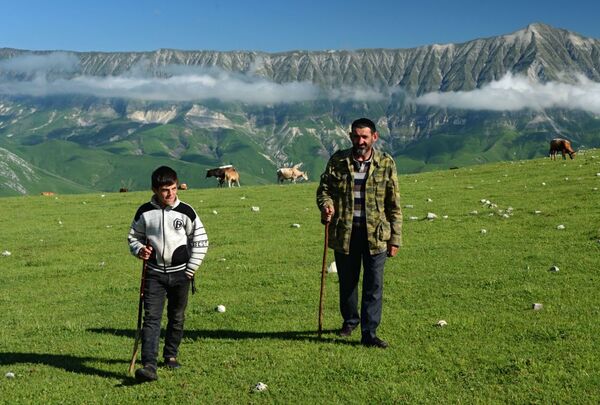 Benoy köyü yakınlarındaki dağlarda çobanlar - Sputnik Türkiye