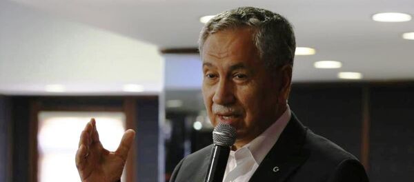 Başbakan Yardımcısı Bülent Arınç - Sputnik Türkiye