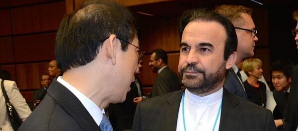 İran'ın Uluslararası Atom Enerjisi Ajansı'ndaki (UAEA) Büyükelçisi Rıza Necefi - Sputnik Türkiye