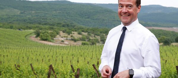 Rusya Başbakanı Dmitriy Medvedev, Kırım'ı ziyaret etti. - Sputnik Türkiye