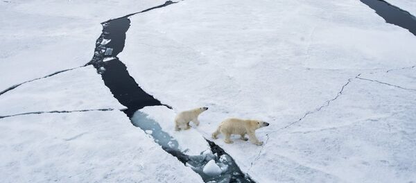 Kara Winter 2015  - Sputnik Türkiye