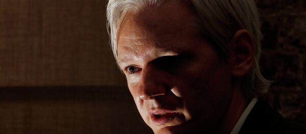 Julian Assange - Sputnik Türkiye