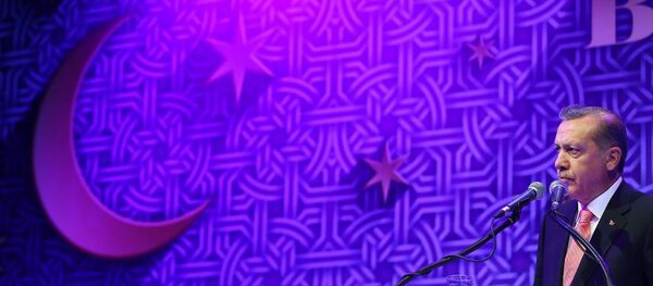 Cumhurbaşkanı Recep Tayyip Erdoğan - Sputnik Türkiye