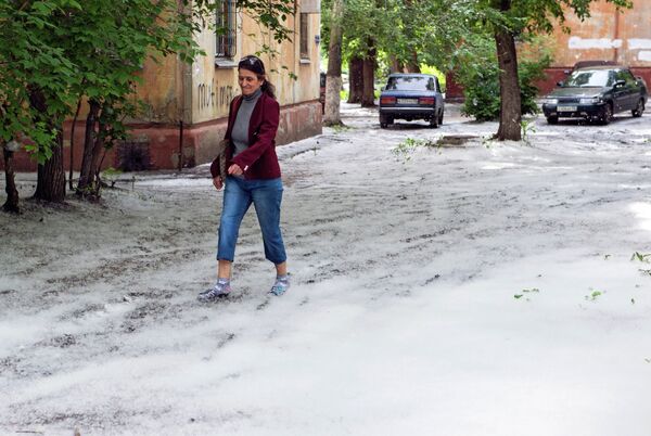 Sibirya’nın Omsk şehrinde kavak ağaçlarından yayılan pamukçuklar, adeta kar haline gelerek tüm sokakları kapladı - Sputnik Türkiye