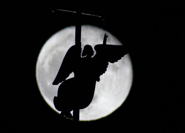 St. Petersburg - Sputnik Türkiye