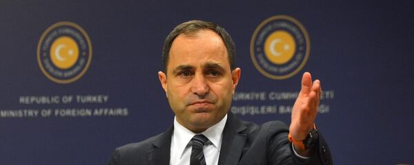 Tanju Bilgiç - Sputnik Türkiye