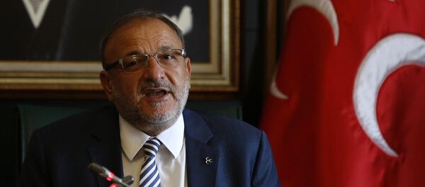 Oktay Vural - Sputnik Türkiye