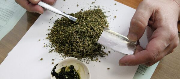 Esrar, marihuana, uyuşturucu - Sputnik Türkiye