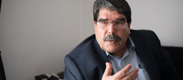 PYD Eşbaşkanı Salih Müslim - Sputnik Türkiye
