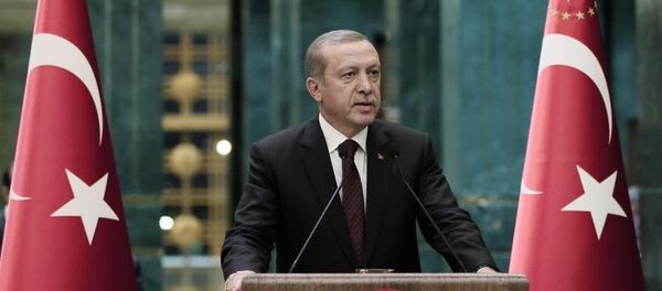 Cumhurbaşkanı Recep Tayyip Erdoğan - Sputnik Türkiye