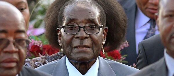 Zimbabve Devlet Başkanı Robert Mugabe - Sputnik Türkiye