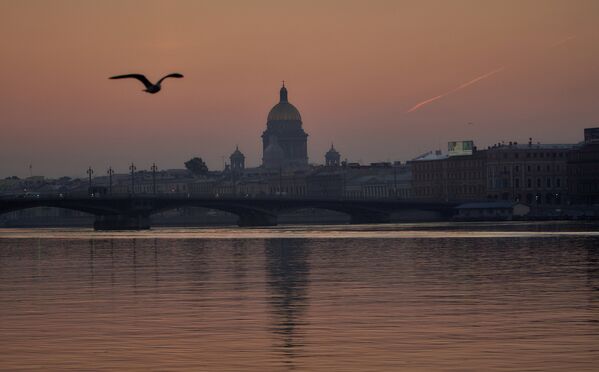 St.Petersburg'da Blagoveşenskiy köprüsü - Sputnik Türkiye