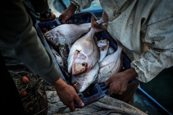 Gazzeli balıkçılar - Sputnik Türkiye
