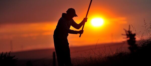 Sıcak hava - Sputnik Türkiye