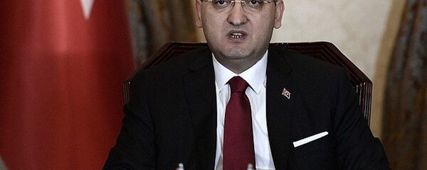 Başbakan Yardımcısı Yalçın Akdoğan - Sputnik Türkiye