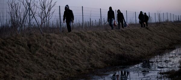 Macaristan-Hırvatistan sınırı - Sputnik Türkiye