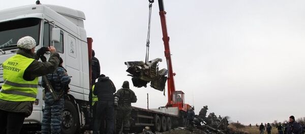 MH17 sefer sayılı yolcu uçağı - Sputnik Türkiye