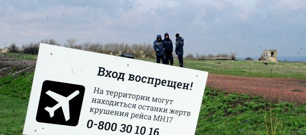 Düşen Malezya uçağı için yapılan incelemeler - Sputnik Türkiye