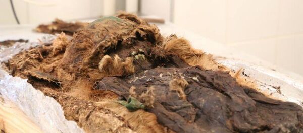 Mumyalanmış ceset - Sputnik Türkiye