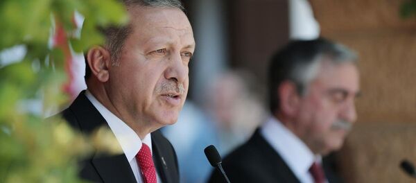 Cumhurbaşkanı Recep Tayyip Erdoğan - Sputnik Türkiye