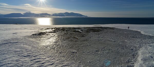 Kuzey Buz Denizi - Sputnik Türkiye